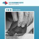성심동물의료센터 이미지