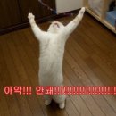 리영의원 이미지