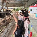 용두농장 이미지