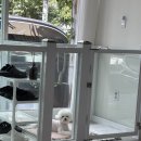 봄이네 애견 이미지