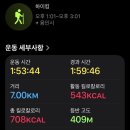 둡시네 2-4.2월 일상