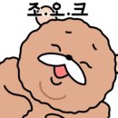 고쳐줄개 이미지