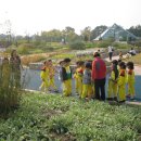 고일어린이집 이미지