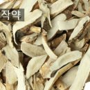 느티나무한의원 이미지