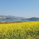 (주)마음 - 용인시 처인구 | (주)마음