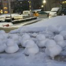 정다운목장 이미지