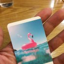 (주)광주대한여행사 이미지