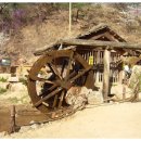 숲속의궁전 이미지