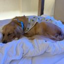 스테이더담 금천점 이미지