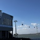 제부도펜션 벚꽃 이미지