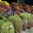 유림-1024 이미지