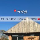 백설애견 이미지