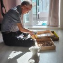 월평동물병원 이미지