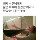 한잔할래 이미지