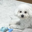 용산-130 이미지