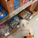 폴리파크 신암점 이미지