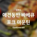 가성비 맛집 강화도 애견동반바베큐,애견운동장 추천 | 포크마운틴 내돈내산 후기!