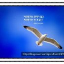 성문학원빌딩 이미지