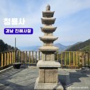 보리원 Daum카페