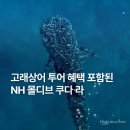 위드인터내셔날 | 몰디브 고래상어 투어 포함, NH 쿠다라 리조트 추천 이유