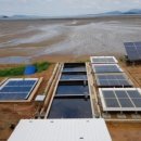 금빛태양광 이미지