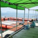 장고항바다 좌대낚시터 이미지