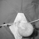 씽씽 동물의료센터 이미지