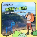 표선리-33 | 올레길 3-B코스 표선해수욕장에서 역방향으로 걷기