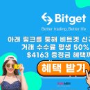 아미쿠스짐 이미지