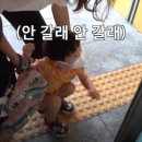 승우 태양광 네이버블로그