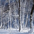 소요산역 앞 이미지