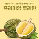 고씨네 농장 이미지