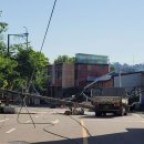 전봇대 옆 이미지