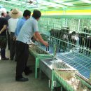 반장농장 이미지