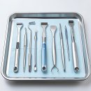 웰빙치과의원 | 잇몸이 욱신거릴 때마다 내 발걸음이 향하는 곳