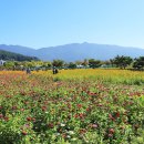 황산공원 이미지