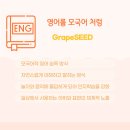 대전그레이프시드 이미지
