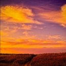 봉천한의원 이미지