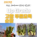 주식회사 나무에프앤비