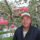 완식농장 Daum카페
