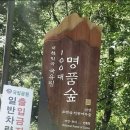 ＜190차＞2026년 7월 18일 (토) 세째주 '소백산 천동계곡' 야유회 이미지