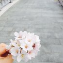 자연을닮은사람들 이미지