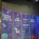 뽀뽀유성상어켄넬 | 대전 엑스포 아쿠아리움 할인 공연 아기랑 실내 갈만한곳