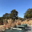 우리 흥! 손흥민 Cafe INFEELD (춘천 카페 인필드) 내돈 내산 후기
