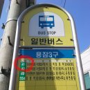 산호당약국 이미지