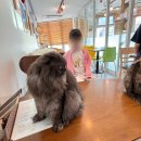 강남역 고양이카페 고양이라 좋은 날 방문 후기