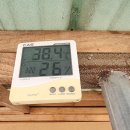 구룡천1 이미지