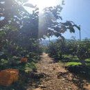 진영농원 이미지