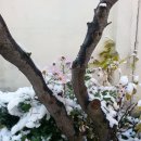 복*규
