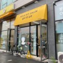 올라펫살롱 이미지